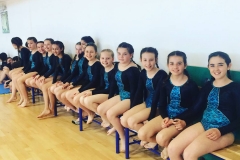 52 saggio di ginnastica artistica