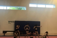 55 saggio di ginnastica artistica