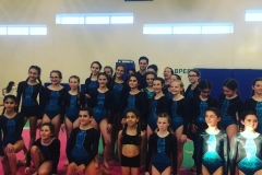 56 saggio ginnastica artistica